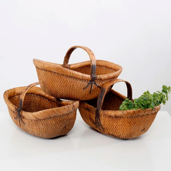 Lily s Living Wicker Basket