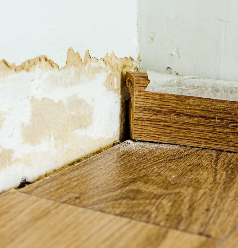 wall damaged by mold