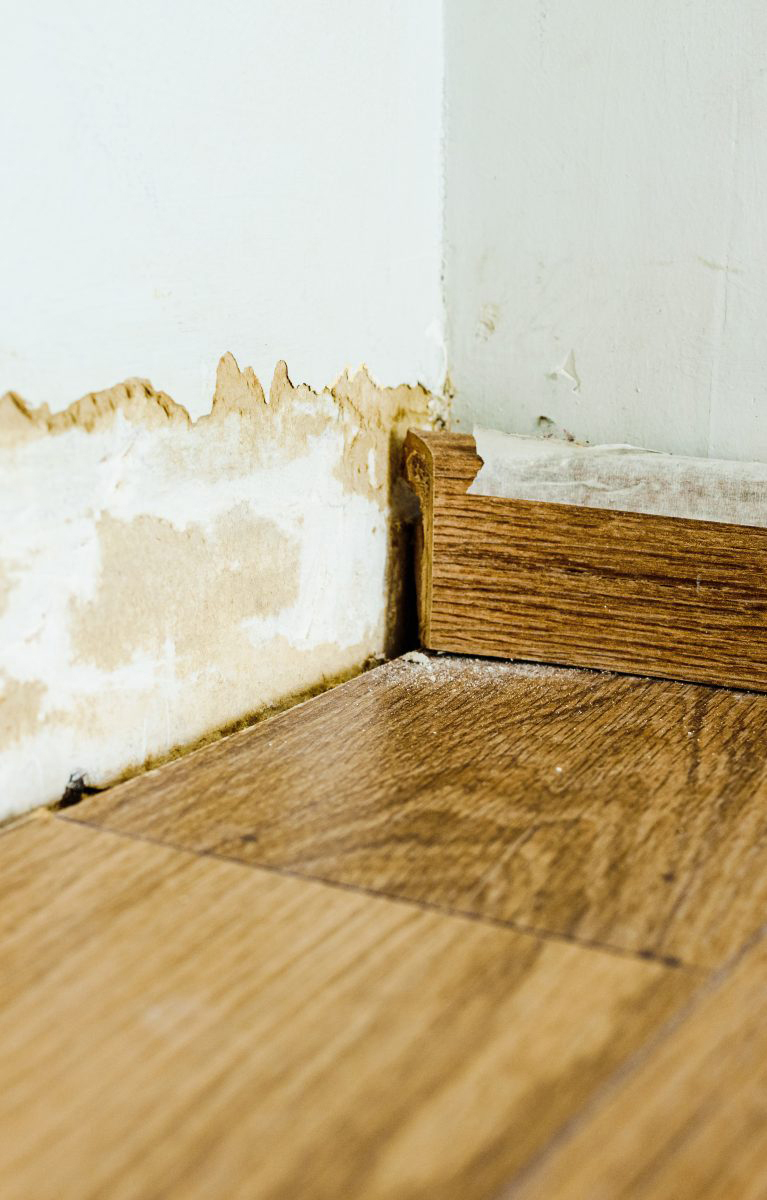 wall damaged by mold