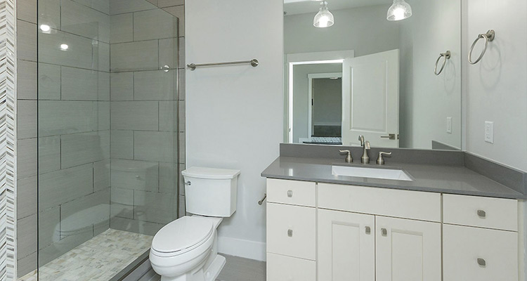 Bath Remodeling in Dr. Phillips