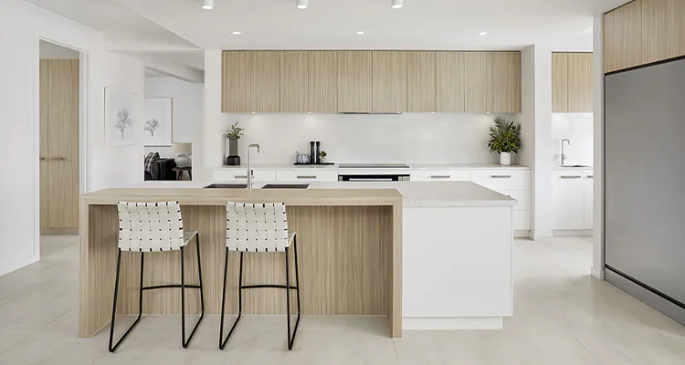 Kitchen Remodeling in Dr. Phillips